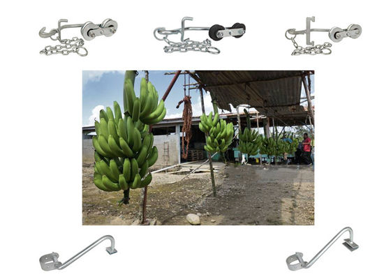 Banane 150kg-220KG hakt hängende Rollen für einfache Transportausrüstung